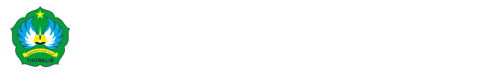 Logo Footer